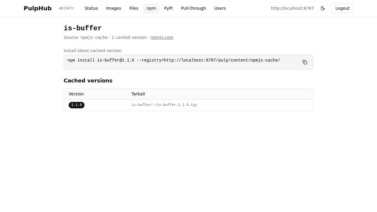 npm repository detail